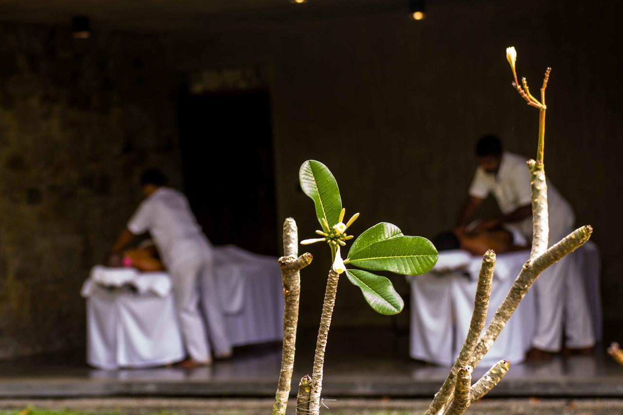 Santani Wellness Kandy Buitenkant foto