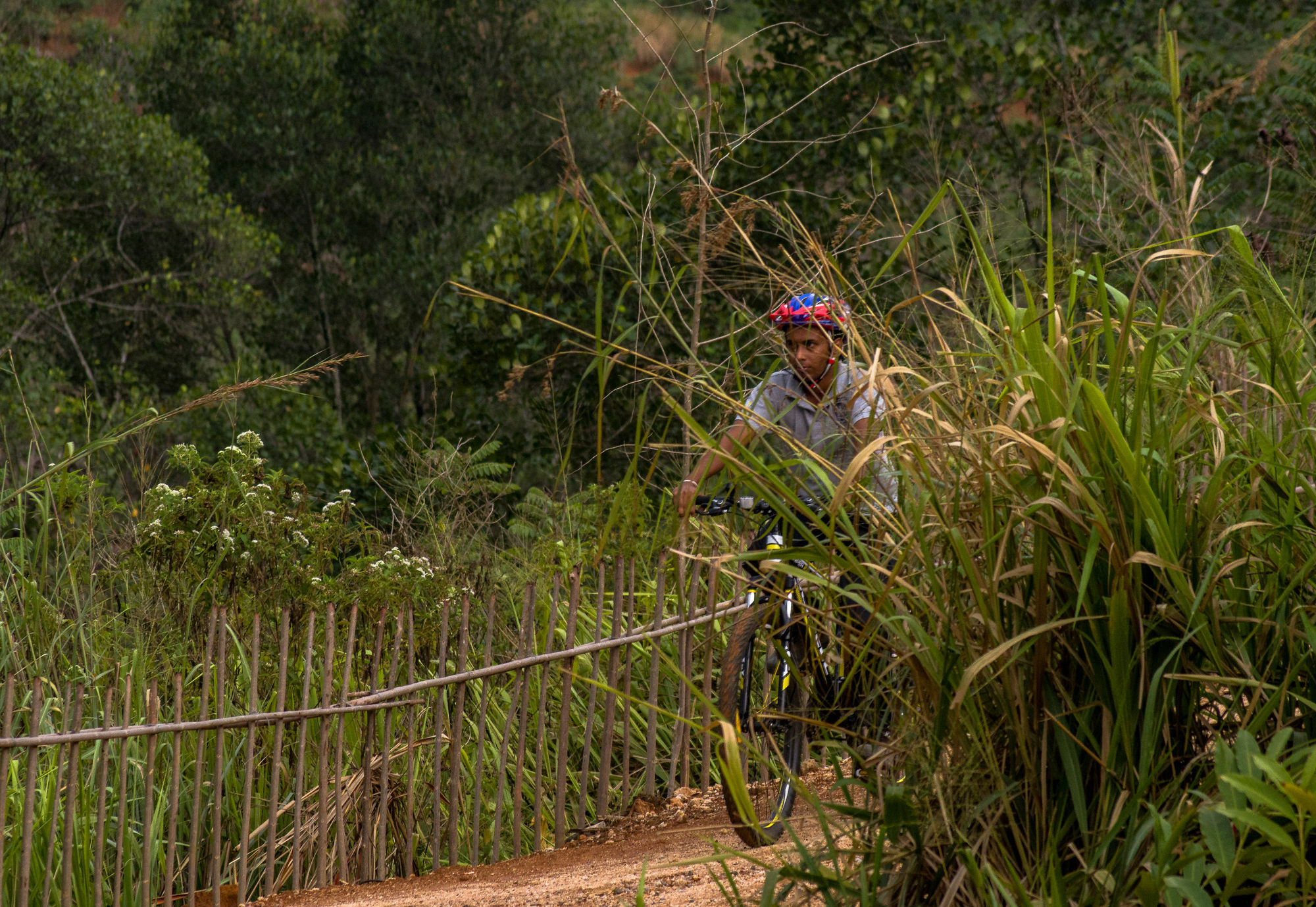 Santani Wellness Kandy Buitenkant foto